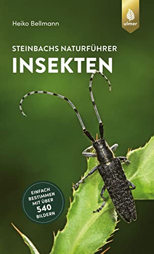 Steinbachs Naturführer Insekten: Einfach bestimmen mit über 540 Bildern