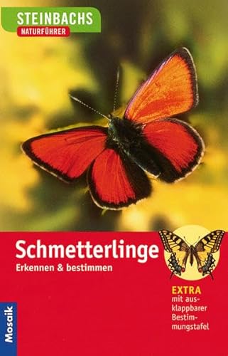 Steinbachs Naturführer Schmetterlinge: Erkennen und bestimmen