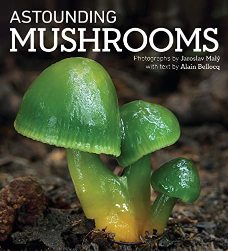Astounding Mushrooms von Firefly Books Ltd