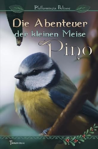 Die Abenteuer der kleinen Meise Pino