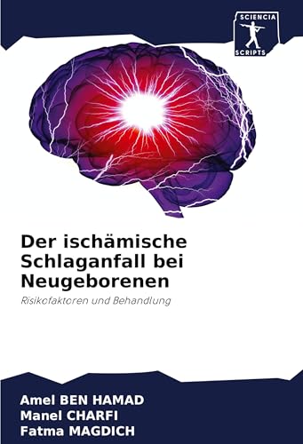 Der ischämische Schlaganfall bei Neugeborenen: Risikofaktoren und Behandlung von Sciencia Scripts