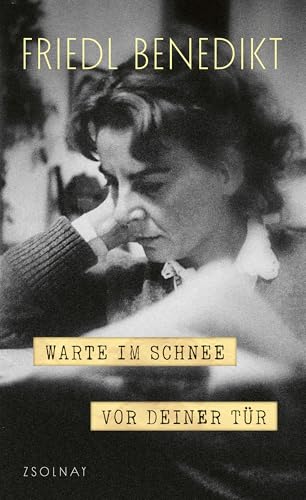 Warte im Schnee vor Deiner Tür Warte im Schnee vor Deiner Tür von Paul Zsolnay Verlag