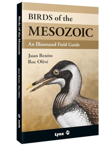 Birds of the Mesozoic: An Illustrated Field Guide