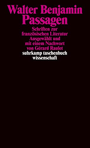Passagen: Schriften zur französischen Literatur (suhrkamp taschenbuch wissenschaft)