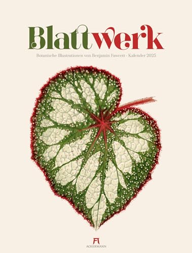 Blattwerk Kalender 2025 - Hochwertiger Naturpapierkalender im großen Hochformat (50x66 cm) - Kalender mit botanischen Illustrationen - Urban Jungle - Nostalgie - Botanik - Vintage