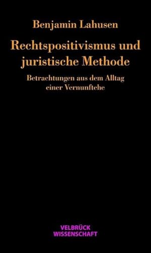 Rechtspositivismus und juristische Methode: Betrachtungen aus dem Alltag einer Vernunftehe von Velbrück Wissenschaft