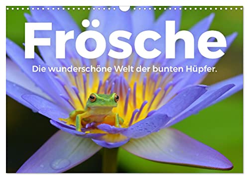 Frösche - Die wunderschöne Welt der bunten Hüpfer. (Wandkalender 2024 DIN A3 quer), CALVENDO Monatskalender