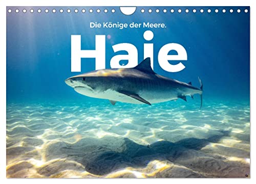 Haie - Könige der Meere. (Wandkalender 2024 DIN A4 quer), CALVENDO Monatskalender von CALVENDO