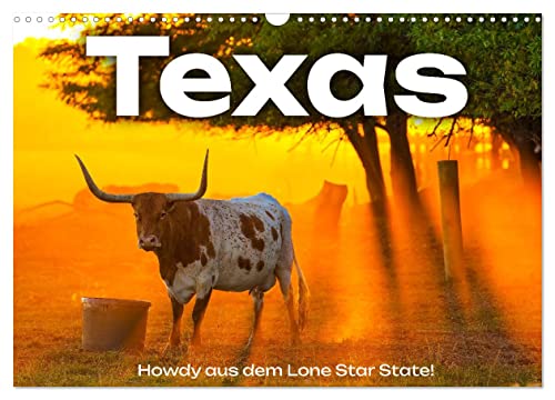 Texas - Howdy aus dem Lone Star State! (Wandkalender 2024 DIN A3 quer), CALVENDO Monatskalender von CALVENDO