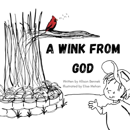 A Wink from God von Allison Bennek