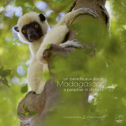 Madagascar un paradis aux abois - Madagascar a paradise in distress