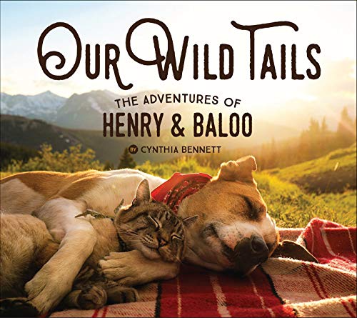 Our Wild Tails: The Adventures of Henry & Baloo von Gibbs Smith