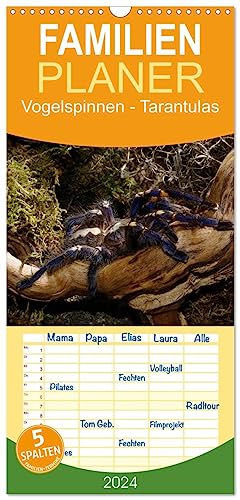 Familienplaner 2024 - Vogelspinnen - Tarantulas mit 5 Spalten (Wandkalender, 21 cm x 45 cm) CALVENDO