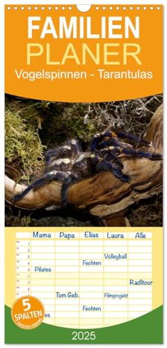 Familienplaner 2025 - Vogelspinnen - Tarantulas mit 5 Spalten (Wandkalender, 21 cm x 45 cm), CALVENDO von CALVENDO