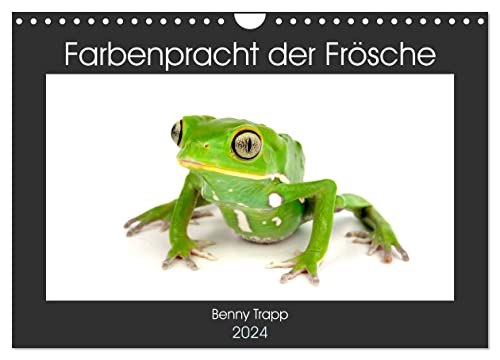 Farbenpracht der Frösche (Wandkalender 2024 DIN A4 quer), CALVENDO Monatskalender von CALVENDO