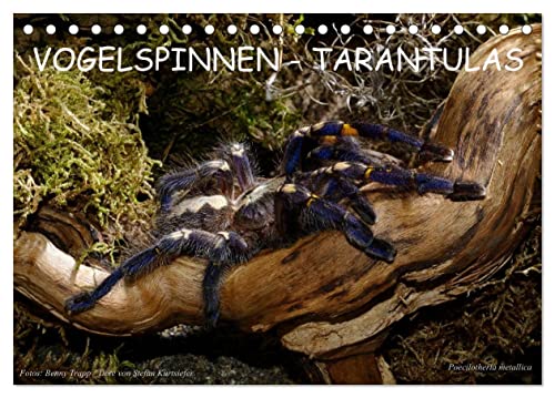 Vogelspinnen - Tarantulas (Tischkalender 2024 DIN A5 quer), CALVENDO Monatskalender von CALVENDO