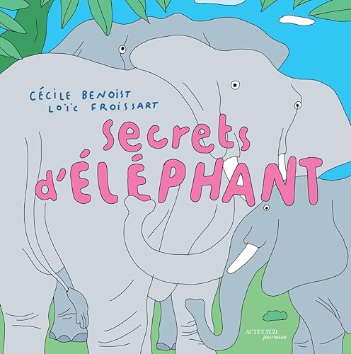 Secrets d'éléphant von ACTES SUD