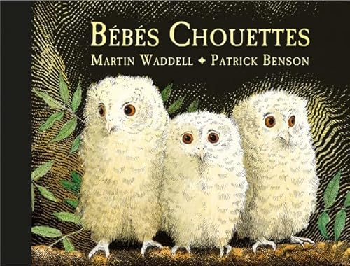 Bébés Chouettes von EDL