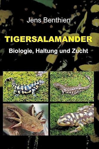 Tigersalamander: Biologie, Haltung und Zucht