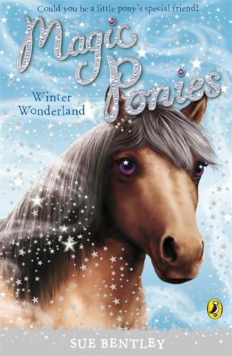 Magic Ponies: Winter Wonderland (Magic Ponies, 8)