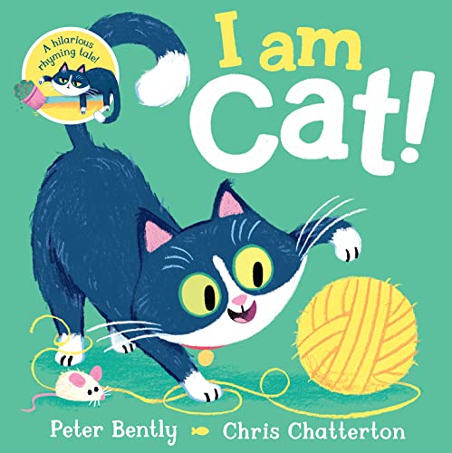 I am Cat von Macmillan Children's Books