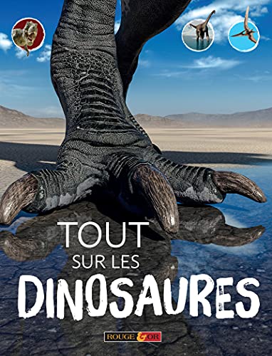 Tout sur les dinosaures von ROUGE ET OR