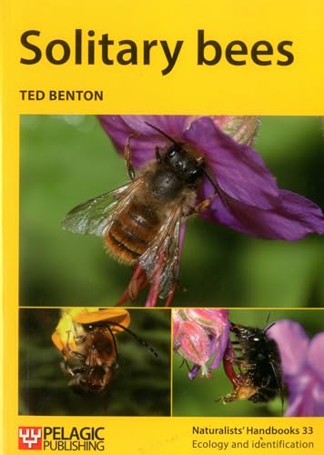 Solitary Bees (Naturalist's Handbooks, 33, Band 33) von Pelagic Publishing Ltd