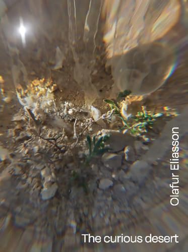 The Curious Desert: The Curious Desert (Arte) von SILVANA