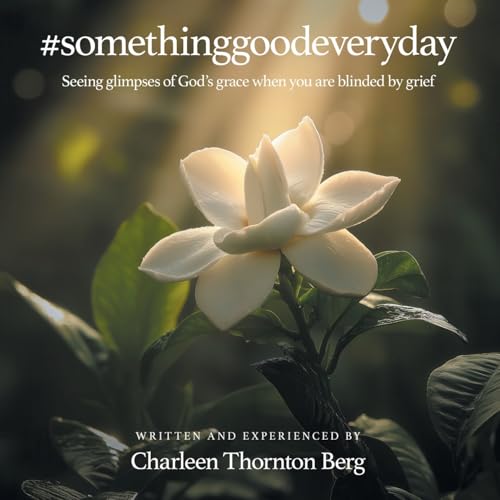 #somethinggoodeveryday: Seeing glimpses of God’s grace when you are blinded by grief #somethinggoodeveryday: Seeing glimpses of God’s grace when you are blinded by grief von WestBow Press