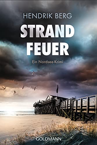 Strandfeuer: Ein Nordsee-Krimi (Ein Fall für Theo Krumme, Band 8)