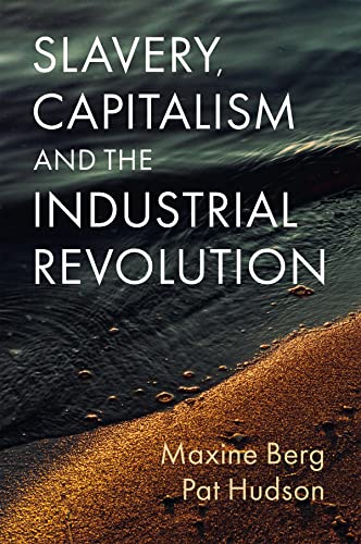 Slavery, Capitalism and the Industrial Revolution von Polity