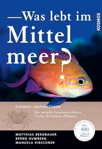 Was lebt im Mittelmeer?: Der aktuelle Unterwasserführer: Fische, Wirbellose, Pflanzen mit über 400 Arten
