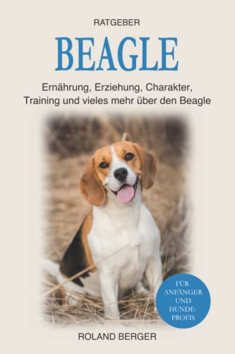 Beagle: Ernährung, Erziehung, Charakter, Training und vieles mehr über den Beagle