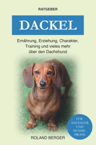 Dackel: Ernährung, Erziehung, Charakter, Training und vieles mehr über den Dachshund