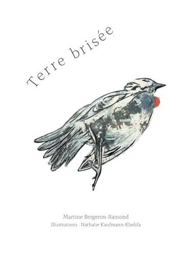 Terre brisée von AFNIL