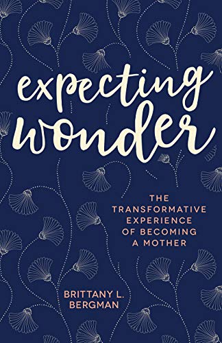 Expecting Wonder: The Transformative Experience of Becoming a Mother Expecting Wonder: The Transformative Experience of Becoming a Mother von Broadleaf Books