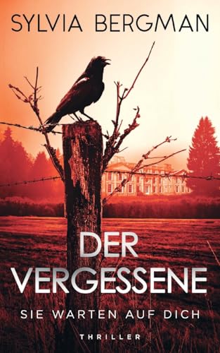 Der Vergessene: Sie warten auf dich – Ein atemberaubender Psychothriller