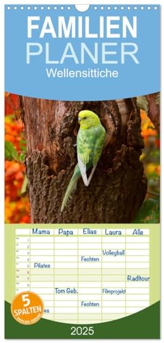 Familienplaner 2025 - Wellensittiche mit 5 Spalten (Wandkalender, 21 cm x 45 cm), CALVENDO von CALVENDO