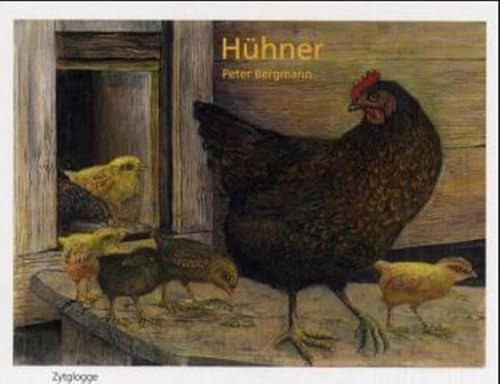 Hühner: Bilderbuch