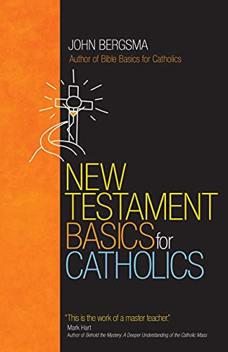 New Testament Basics for Catholics von Ave Maria Press