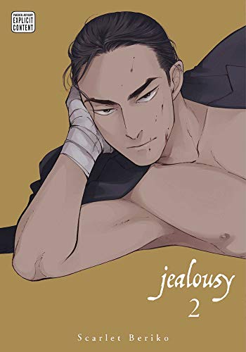 Jealousy, Vol. 2 (JEALOUSY GN, Band 2) von Sublime