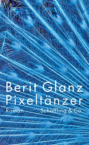 Pixeltänzer: Roman von Schoeffling + Co.
