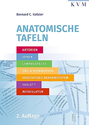 Anatomische Tafeln: Arterien, Venen, Lymphgefäße, zentrales Nervensystem, Hirnnerven, vegetatives Nervensystem, Skelett und Muskulatur von KVM-Der Medizinverlag