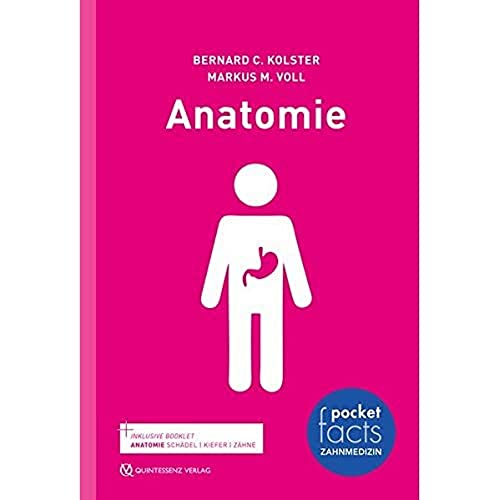 Pocket Facts Anatomie von Quintessenz Verlag