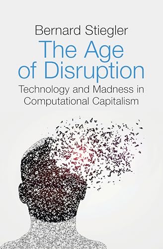 The Age of Disruption: Technology and Madness in Computational Capitalism von Polity