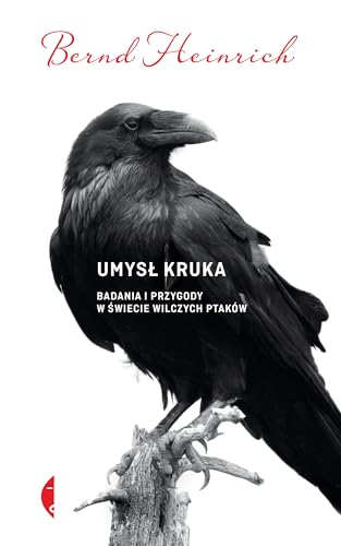 Umysl kruka Badania i przygody w swiecie wilczych ptakow: Badania i przygody w świecie wilczych ptaków