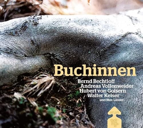 Buchinnen, m. 1 Audio-CD u. 1 DVD: Bildband mit Musik-CD und Making of DVD von Arun Verlag