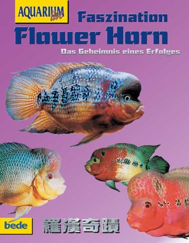 Flower Horn, Faszination Flower Horn, Faszination