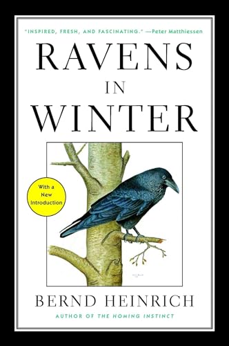 Ravens in Winter von Simon & Schuster