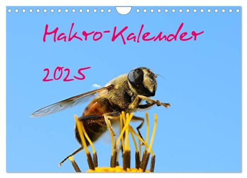 Makro-Kalender 2025 (Wandkalender 2025 DIN A4 quer), CALVENDO Monatskalender